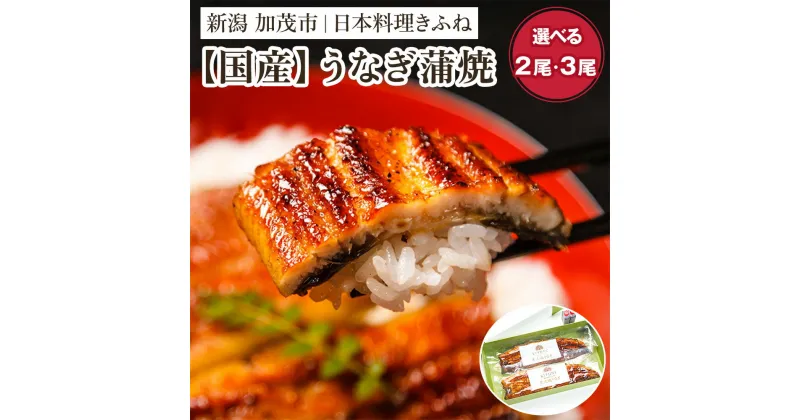 【ふるさと納税】【国産】うなぎ蒲焼 （炭火焼きうなぎ）「2尾セット」or「3尾セット」《1尾約150～180g、約25cm、たれ18g、山椒》老舗料亭の味 国産うなぎ 備長炭 贈答 加茂市 日本料理きふね