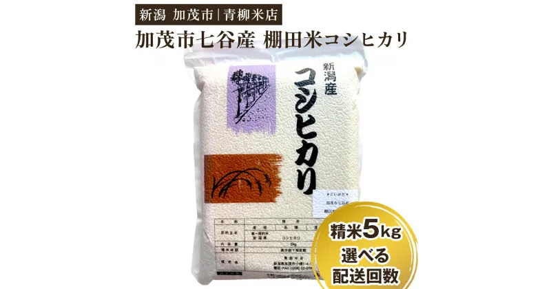 【ふるさと納税】【令和6年産新米】新潟産コシヒカリ 加茂市七谷産 棚田米 精米5kg 選べる配送回数（通常1回～定期便12か月）白米 真空パック 青柳米店