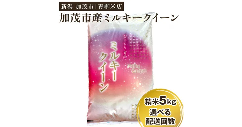 【ふるさと納税】【令和6年産新米先行予約】新潟県央地区 ミルキークイーン 精米5kg 選べる配送回数（通常配送1回～定期便12回）白米 青柳米店