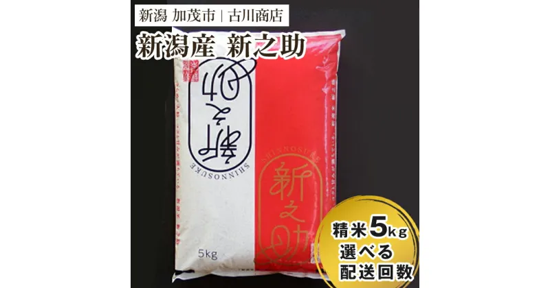 【ふるさと納税】【令和6年産新米先行予約】新潟の新ブランド米「新之助」精米5kg 【選べる配送回数（通常配送1回～定期便12回）】 白米 大粒 加茂市 お米の専門店 古川商店