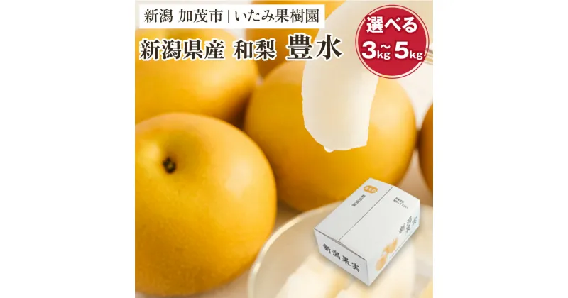 【ふるさと納税】【2025年先行予約】【厳選】新潟県産 和梨 豊水 選べる内容量 「3kg」or「5kg」《9月上旬以降発送》果物 フルーツ ほうすい 加茂市 いたみ果樹園