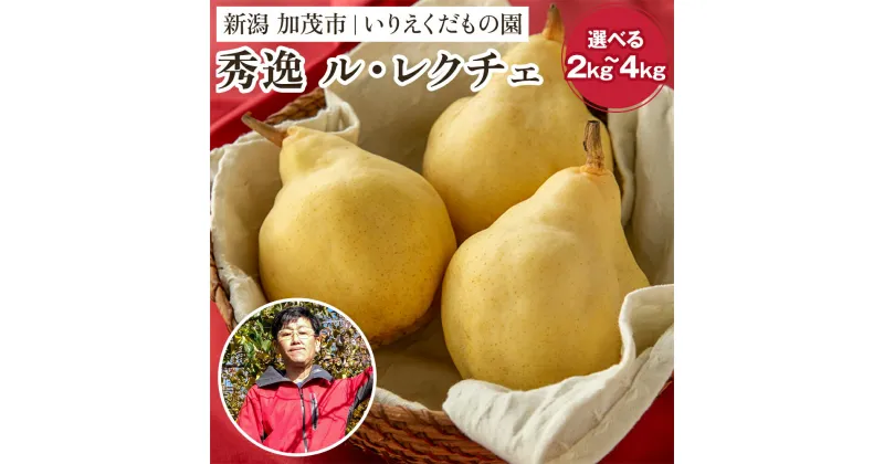 【ふるさと納税】【2024年先行予約】【秀逸】 西洋梨ル・レクチェ 「約2kg」or「約3kg」or「約4kg」 《11月下旬以降発送》 幻の洋梨 フルーツ 贈答 新潟の冬の味覚 加茂市 いりえくだもの園