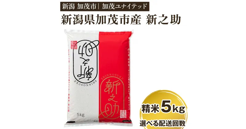 【ふるさと納税】【令和6年産新米先行予約】 新潟県産 新之助 精米5kg 選べる配送回数 （通常配送1回～定期便12回） 精米 白米 新潟 ブランド米 加茂市 加茂ユナイテッド