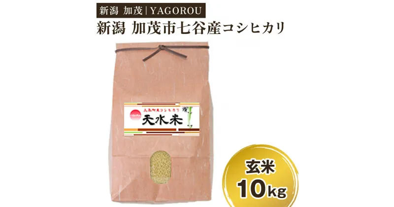 【ふるさと納税】【令和6年産新米先行予約】新潟県加茂市 七谷産コシヒカリ 玄米10kg 《10月下旬～順次発送》 新潟産コシヒカリ 豊かな山水で育った天水米 加茂市 YAGOROU ヤゴロウ