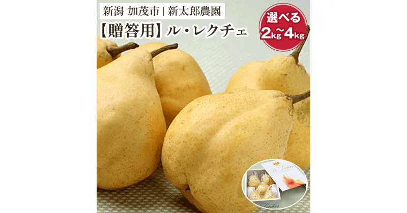 【ふるさと納税】【2024年先行予約】【贈答用】幻の洋梨 ル・レクチェ 選べる「2kg」or「3kg」or「4kg」《11月下旬から順次発送》 化粧箱入り 果物 フルーツ ギフト 贈答 加茂市産ル・レクチェ 梨 西洋梨 加茂市 新太郎農園