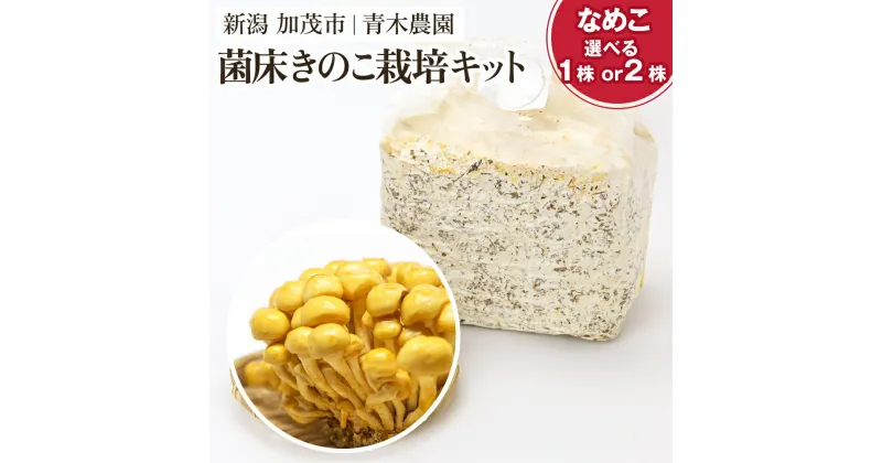 【ふるさと納税】【2024年先行予約】菌床きのこ栽培キット なめこ 選べる株数「1株入り」or「2株入り」 《10月上旬から順次発送》 栽培キット 自家栽培 きのこ なめこ 栽培 初心者でも簡単 自宅 菌床 加茂市 青木農園