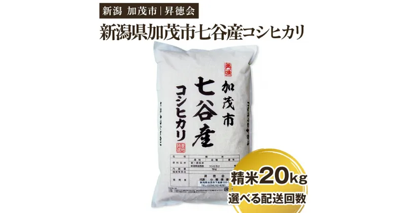 【ふるさと納税】【令和6年産新米先行予約】新潟県加茂市 七谷産コシヒカリ 精米20kg（5kg×4）選べる配送回数（通常配送1回～定期便12回）白米 高柳地域産数量限定 昇徳会