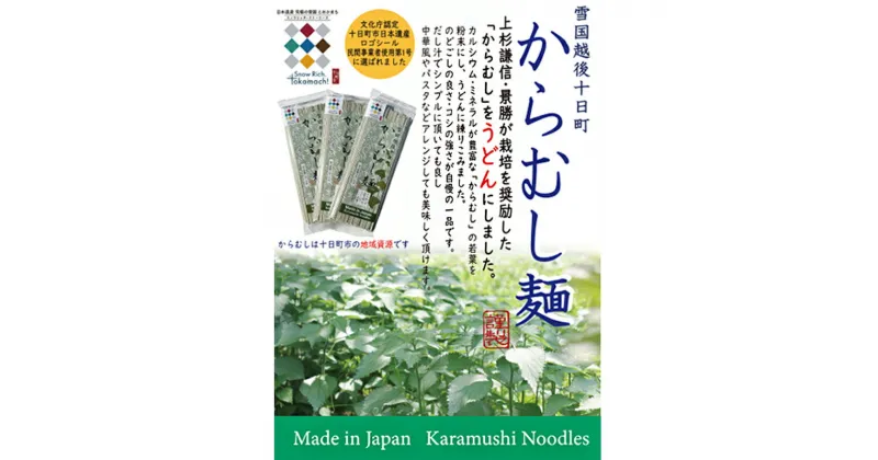 【ふるさと納税】【豊富な栄養！】雪国越後十日町からむし麺（うどん） 10束入りギフト（200g×10束） 　 うどん 麺 麺類 からむし 新潟 　お届け：順次発送