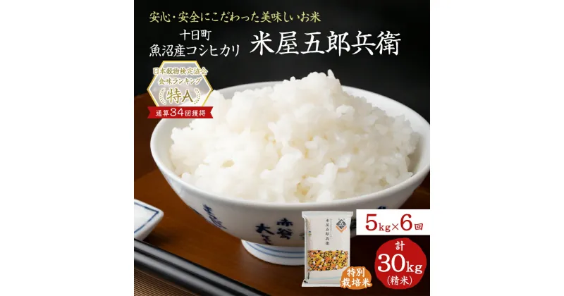 【ふるさと納税】＜新米発送＞【定期便/全6回】十日町産魚沼コシヒカリ 米屋五郎兵衛 特別栽培米 精米5kg　定期便　お届け：9月下旬より新米発送予定。決済完了月の翌月中旬頃から発送開始します。