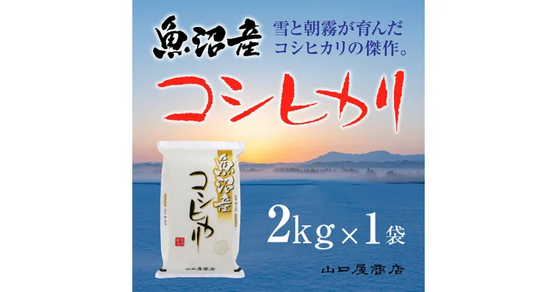 【ふるさと納税】「厳選☆十日町育ち」魚沼産コシヒカリ　2kg　 お米 米 コメ コシヒカリ 魚沼産 　お届け：順次発送