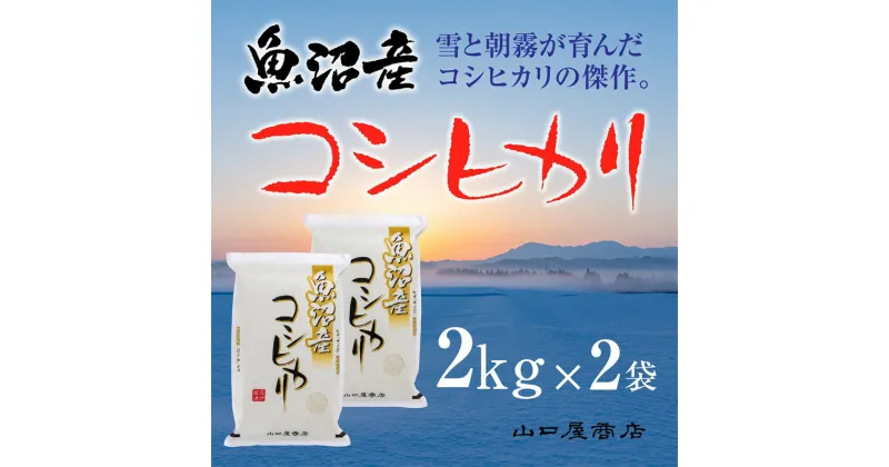 【ふるさと納税】「厳選☆十日町育ち」魚沼産コシヒカリ　2kg×2袋　 お米 米 コメ コシヒカリ 魚沼産 　お届け：順次発送