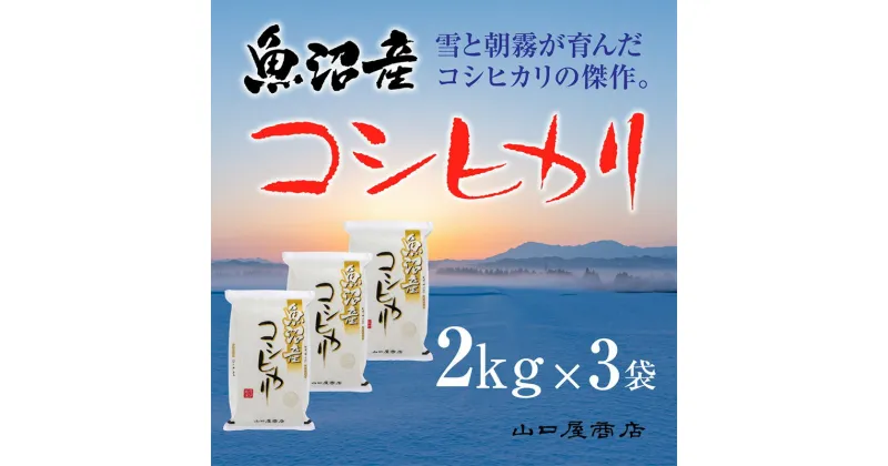 【ふるさと納税】「厳選☆十日町育ち」魚沼産コシヒカリ　2kg×3袋　 お米 米 コメ コシヒカリ 魚沼産 　お届け：順次発送