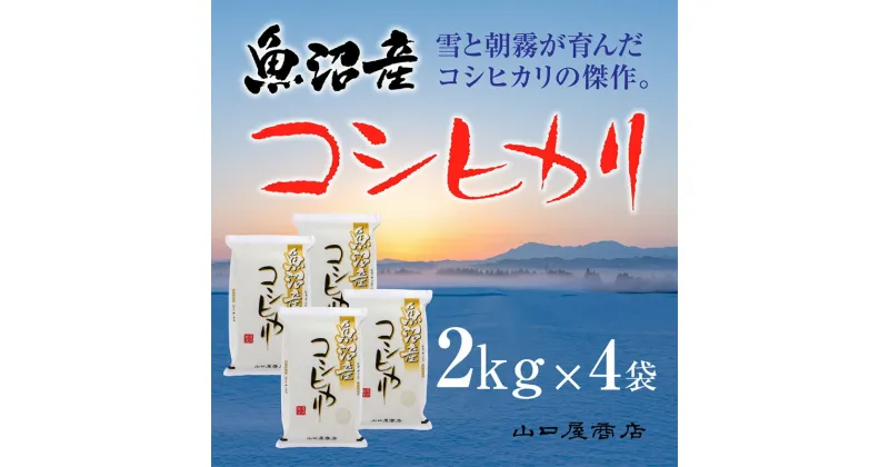 【ふるさと納税】「厳選☆十日町育ち」魚沼産コシヒカリ　2kg×4袋　 お米 米 コメ コシヒカリ 魚沼産 　お届け：順次発送