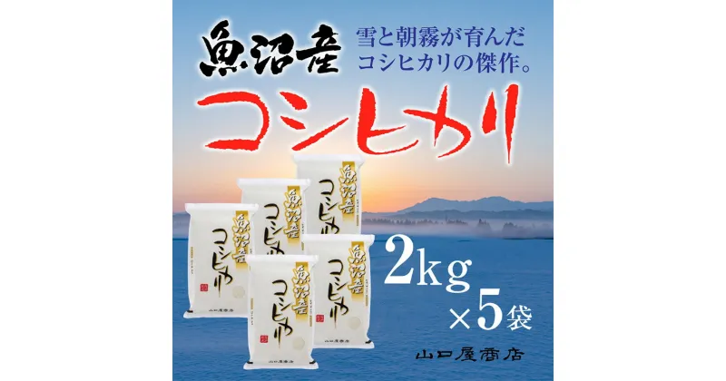 【ふるさと納税】「厳選☆十日町育ち」魚沼産コシヒカリ　2kg×5袋　 お米 米 コメ コシヒカリ 魚沼産 　お届け：順次発送