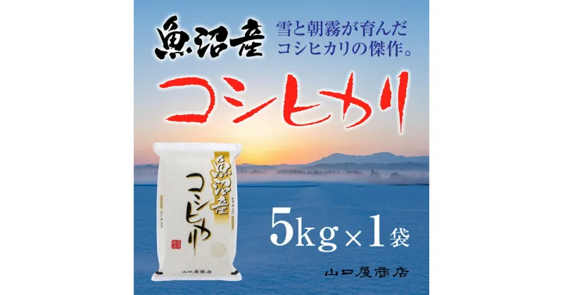 【ふるさと納税】【厳選☆十日町育ち】魚沼産コシヒカリ　5kg　 お米 米 コメ コシヒカリ 魚沼産 　お届け：順次発送