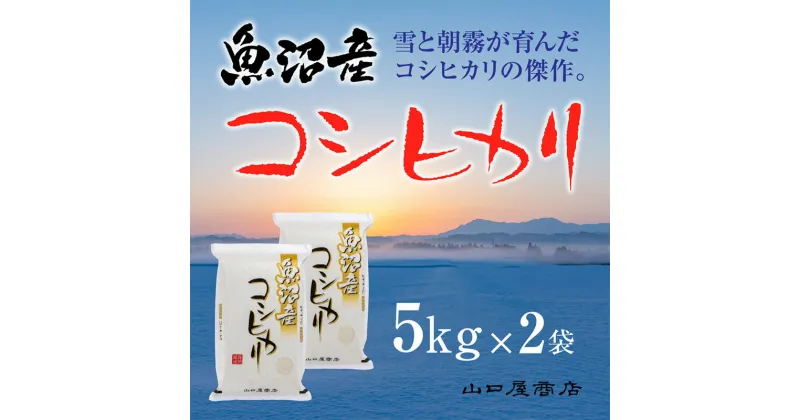 【ふるさと納税】【厳選☆十日町育ち】魚沼産コシヒカリ　5kg×2袋　 お米 米 コメ コシヒカリ 魚沼産 　お届け：順次発送