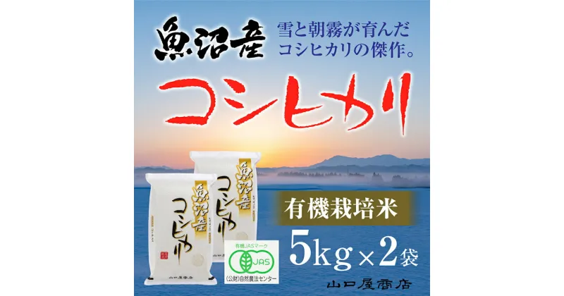 【ふるさと納税】【厳選☆十日町育ち】“有機栽培米” 魚沼産コシヒカリ 5kg×2袋　お米・コシヒカリ　お届け：順次発送