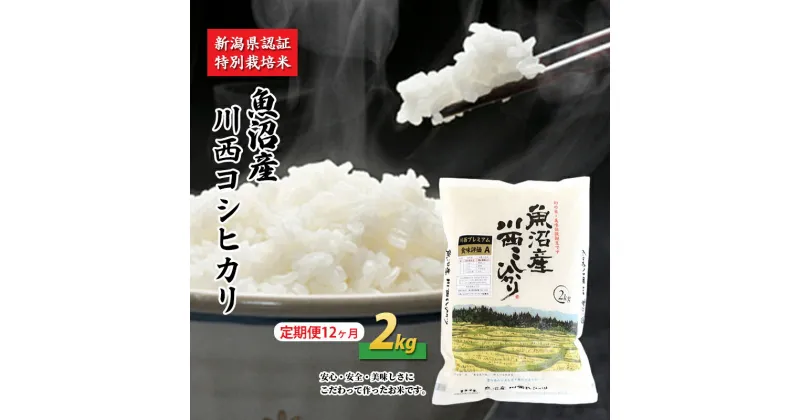 【ふるさと納税】【定期便／12ヶ月】魚沼産川西こしひかり2kg 新潟県認証特別栽培米　定期便・ お米 米 コシヒカリ こしひかり 魚沼産 魚沼産コシヒカリ 魚沼産こしひかり 　お届け：準備でき次第、順次発送