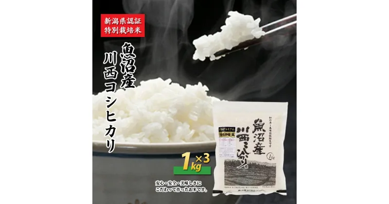 【ふるさと納税】魚沼産川西こしひかり1kg×3 新潟県認証特別栽培米　 米 お米 白米 精米 コシヒカリ ご飯 特別栽培 　お届け：準備でき次第、順次発送