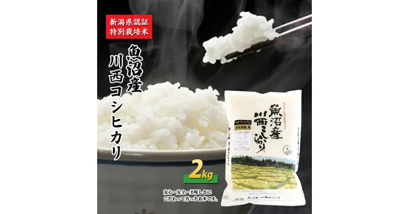 【ふるさと納税】魚沼産川西こしひかり2kg 新潟県認証特別栽培米　 米 お米 白米 精米 コシヒカリ ご飯 特別栽培 　お届け：準備でき次第、順次発送