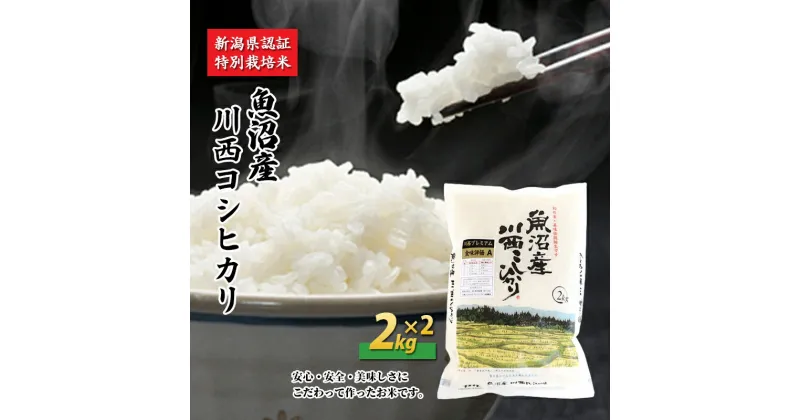 【ふるさと納税】魚沼産川西こしひかり2kg×2 新潟県認証特別栽培米　 米 お米 白米 精米 コシヒカリ ご飯 特別栽培 　お届け：準備でき次第、順次発送