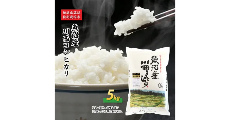 【ふるさと納税】魚沼産川西こしひかり5kg 新潟県認証特別栽培米　 米 お米 白米 精米 コシヒカリ ご飯 特別栽培 　お届け：準備でき次第、順次発送