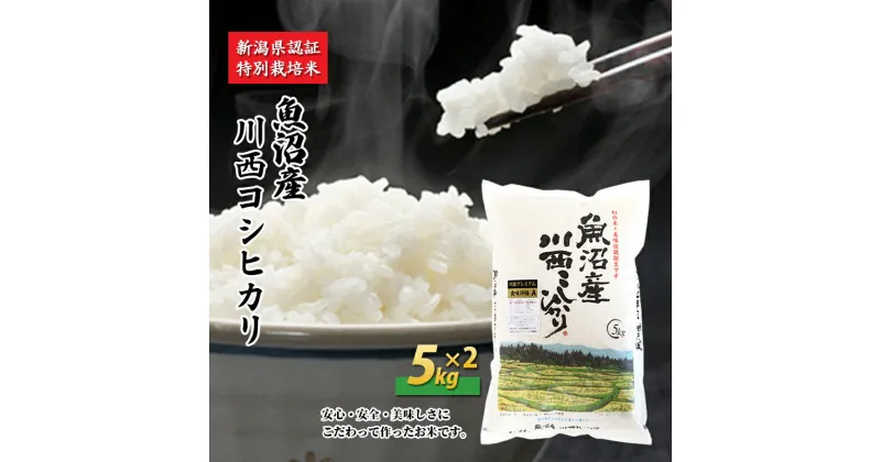 【ふるさと納税】魚沼産川西こしひかり5kg×2 新潟県認証特別栽培米　 米 お米 白米 精米 コシヒカリ ご飯 特別栽培 　お届け：準備でき次第、順次発送