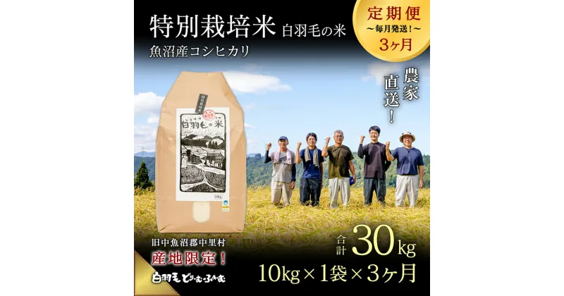 【ふるさと納税】【通年受付】≪令和6年産　≫【定期便／全3回】農家直送！魚沼産コシヒカリ特別栽培「白羽毛の米」精米(10kg×1袋)×3回 30kg　定期便・ お米 　お届け：入金の翌月以降発送。通年受付にて、月1回全3回お届けいたします。