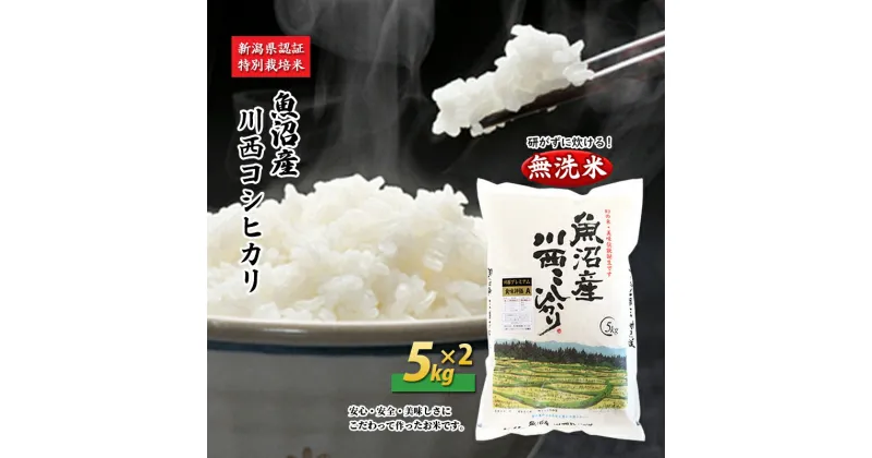 【ふるさと納税】【無洗米】魚沼産川西こしひかり5kg×2 新潟県認証特別栽培米　 米 お米 無洗米 精米 白米 コシヒカリ 魚沼産 ご飯 特別栽培 　お届け：準備でき次第、順次発送