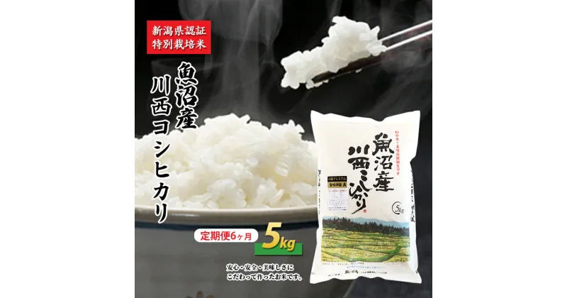 【ふるさと納税】【定期便／6ヶ月】魚沼産川西こしひかり5kg 新潟県認証特別栽培米　定期便・ 米 お米 特別栽培米 精米 白米 コシヒカリ ご飯 魚沼産 6回 　お届け：準備でき次第、順次発送