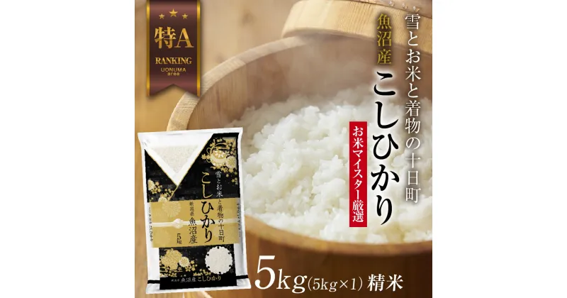 【ふるさと納税】魚沼産 コシヒカリ 5kg お米 こしひかり 新潟 （お米の美味しい炊き方ガイド付き）　 精米 ご飯 ブランド米 銘柄米 　お届け：入金確認後、順次発送