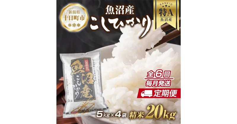 【ふるさと納税】【定期便】新潟県 魚沼産 コシヒカリ お米 20kg×計6回 精米済み 半年間 毎月発送 こしひかり（お米の美味しい炊き方ガイド付き）　定期便・ 精米 ご飯 ブランド米 銘柄米 　お届け：入金確認の翌月から発送