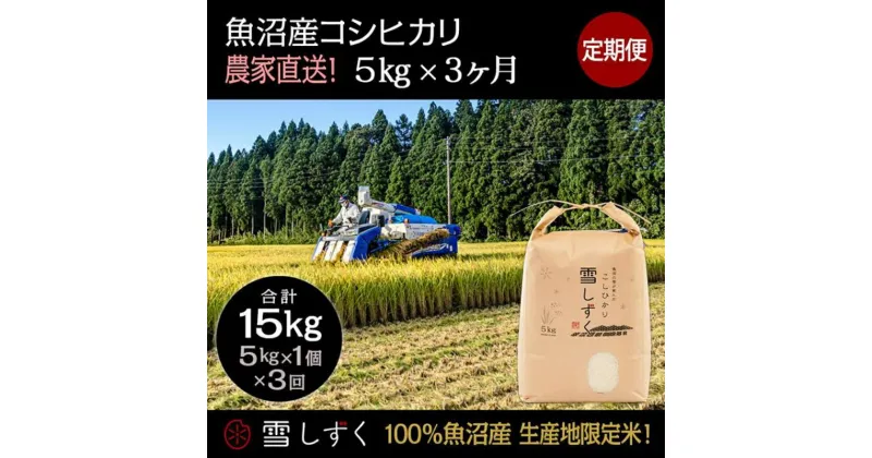 【ふるさと納税】【令和6年産】定期便！魚沼産コシヒカリ【合計15kg】毎月5kg×3回　定期便・ お米 ブランド米 銘柄米 精米 白米 ご飯 おにぎり お弁当 和食 産地直送 　お届け：ご入金確認の翌月以降、発送いたします。