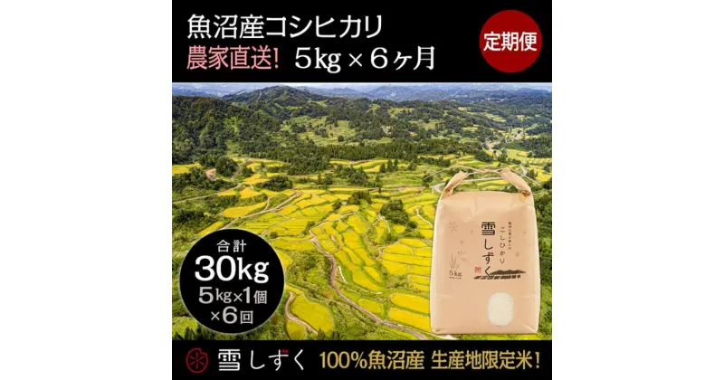 【ふるさと納税】【令和6年産】定期便！魚沼産コシヒカリ【合計30kg】毎月5kg×6回　定期便・ お米 ブランド米 銘柄米 精米 白米 ご飯 おにぎり お弁当 和食 産地直送 　お届け：ご入金確認の翌月以降、発送いたします。