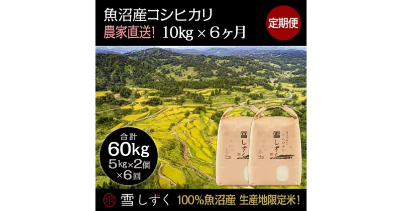 【ふるさと納税】【令和6年産】定期便！魚沼産コシヒカリ【合計60kg】毎月10kg×6回　定期便・ お米 ブランド米 銘柄米 精米 白米 ご飯 おにぎり お弁当 和食 産地直送 　お届け：ご入金確認の翌月以降、発送いたします。