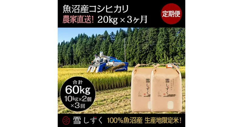 【ふるさと納税】【令和6年産】定期便！魚沼産コシヒカリ【合計60kg】毎月20kg×3回　定期便・ お米 ブランド米 銘柄米 精米 白米 ご飯 おにぎり お弁当 和食 産地直送 　お届け：ご入金確認の翌月以降、発送いたします。