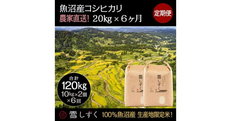 【ふるさと納税】【令和6年産】定期便！魚沼産コシヒカリ【合計120kg】毎月20kg×6回　定期便・ お米 ブランド米 銘柄米 精米 白米 ご飯 おにぎり お弁当 和食 産地直送 　お届け：ご入金確認の翌月以降、発送いたします。