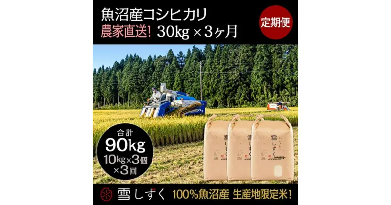 【ふるさと納税】【令和6年産】定期便！魚沼産コシヒカリ【合計90kg】毎月30kg×3回　定期便・ お米 ブランド米 銘柄米 精米 白米 ご飯 おにぎり お弁当 和食 産地直送 　お届け：ご入金確認の翌月以降、発送いたします。