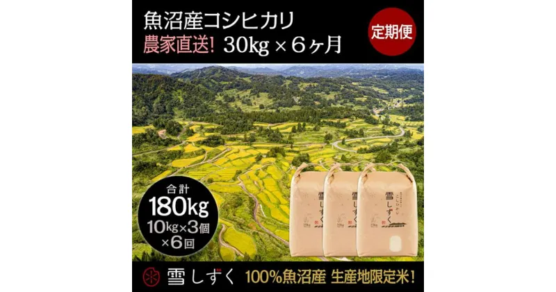 【ふるさと納税】【令和6年産】定期便！魚沼産コシヒカリ【合計180kg】毎月30kg×6回　定期便・ お米 ブランド米 銘柄米 精米 白米 ご飯 おにぎり お弁当 和食 産地直送 　お届け：ご入金確認の翌月以降、発送いたします。