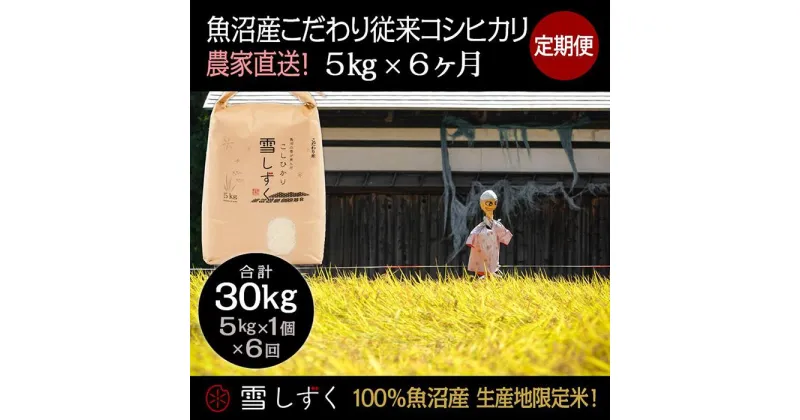 【ふるさと納税】【令和6年産】定期便！魚沼産こだわり従来コシヒカリ【合計30kg】毎月5kg×6回　定期便・ ブランド米 銘柄米 白米 精米 ご飯 おにぎり お弁当 　お届け：ご入金確認の翌月以降、発送いたします。