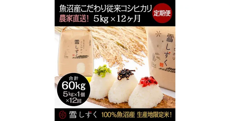 【ふるさと納税】【令和6年産】定期便！魚沼産こだわり従来コシヒカリ【合計60kg】毎月5kg×12回　定期便・ ブランド米 銘柄米 白米 精米 ご飯 おにぎり お弁当 　お届け：ご入金確認の翌月以降、発送いたします。