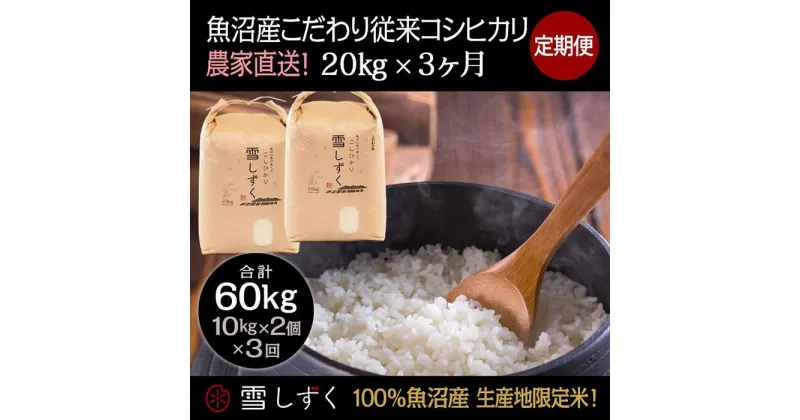 【ふるさと納税】【令和6年産】定期便！魚沼産こだわり従来コシヒカリ【合計60kg】毎月20kg×3回　定期便・ ブランド米 銘柄米 白米 精米 ご飯 おにぎり お弁当 　お届け：ご入金確認の翌月以降、発送いたします。