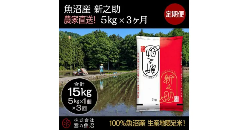 【ふるさと納税】【令和6年産】定期便！魚沼産 新之助【合計15kg】5kg×3回　定期便・ お米 米 こめ コメ 魚沼産 5kg 　お届け：通常はご入金確認の翌月以降、発送いたします。（9月までにご入金の方は10月10日以降発送）