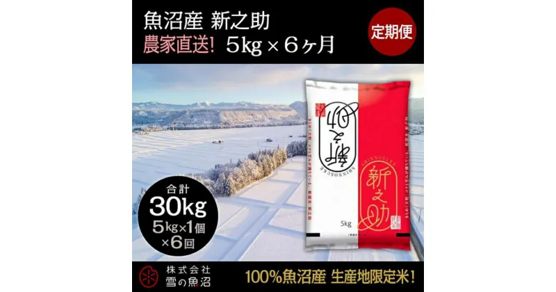 【ふるさと納税】【令和6年産】定期便！魚沼産 新之助【合計30kg】5kg×6回　定期便・ お米 米 こめ コメ 魚沼産 5kg 　お届け：通常はご入金確認の翌月以降、発送いたします。（9月までにご入金の方は10月10日以降発送）