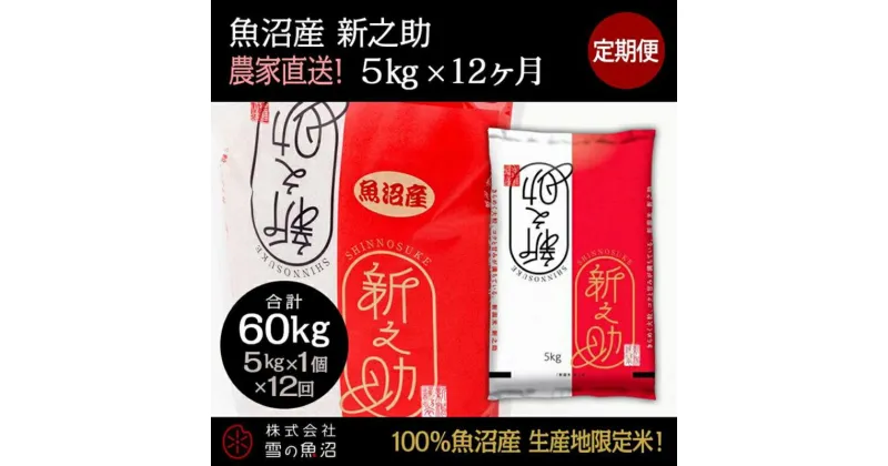 【ふるさと納税】【令和6年産】定期便！魚沼産 新之助【合計60kg】5kg×12回　定期便・ お米 米 こめ コメ 魚沼産 5kg 　お届け：通常はご入金確認の翌月以降、発送いたします。（9月までにご入金の方は10月10日以降発送）