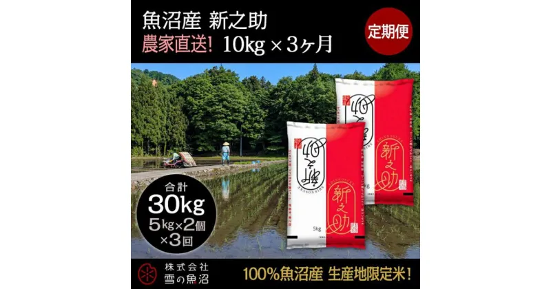 【ふるさと納税】【令和6年産】定期便！魚沼産 新之助【合計30kg】10kg×3回　定期便・ お米 米 こめ コメ 魚沼産 10kg 　お届け：通常はご入金確認の翌月以降、発送いたします。（9月までにご入金の方は10月10日以降発送）