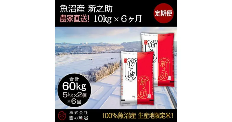 【ふるさと納税】【令和6年産】定期便！魚沼産 新之助【合計60kg】10kg×6回　定期便・ お米 米 こめ コメ 魚沼産 10kg 　お届け：通常はご入金確認の翌月以降、発送いたします。（9月までにご入金の方は10月10日以降発送）