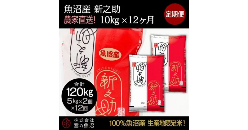 【ふるさと納税】【令和6年産】定期便！魚沼産 新之助【合計120kg】10kg×12回　定期便・ お米 米 こめ コメ 魚沼産 　お届け：通常はご入金確認の翌月以降、発送いたします。（9月までにご入金の方は10月10日以降発送）