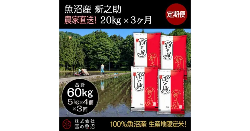 【ふるさと納税】【令和6年産】定期便！魚沼産 新之助【合計60kg】20kg×3回　定期便・ お米 米 こめ コメ 魚沼産 　お届け：通常はご入金確認の翌月以降、発送いたします。（9月までにご入金の方は10月10日以降発送）