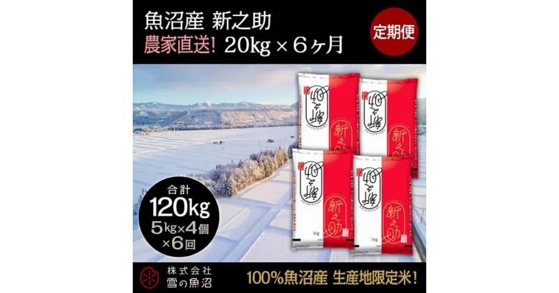 【ふるさと納税】【令和6年産】定期便！魚沼産 新之助【合計120kg】20kg×6回　定期便・ お米 米 こめ コメ 魚沼産 　お届け：通常はご入金確認の翌月以降、発送いたします。（9月までにご入金の方は10月10日以降発送）